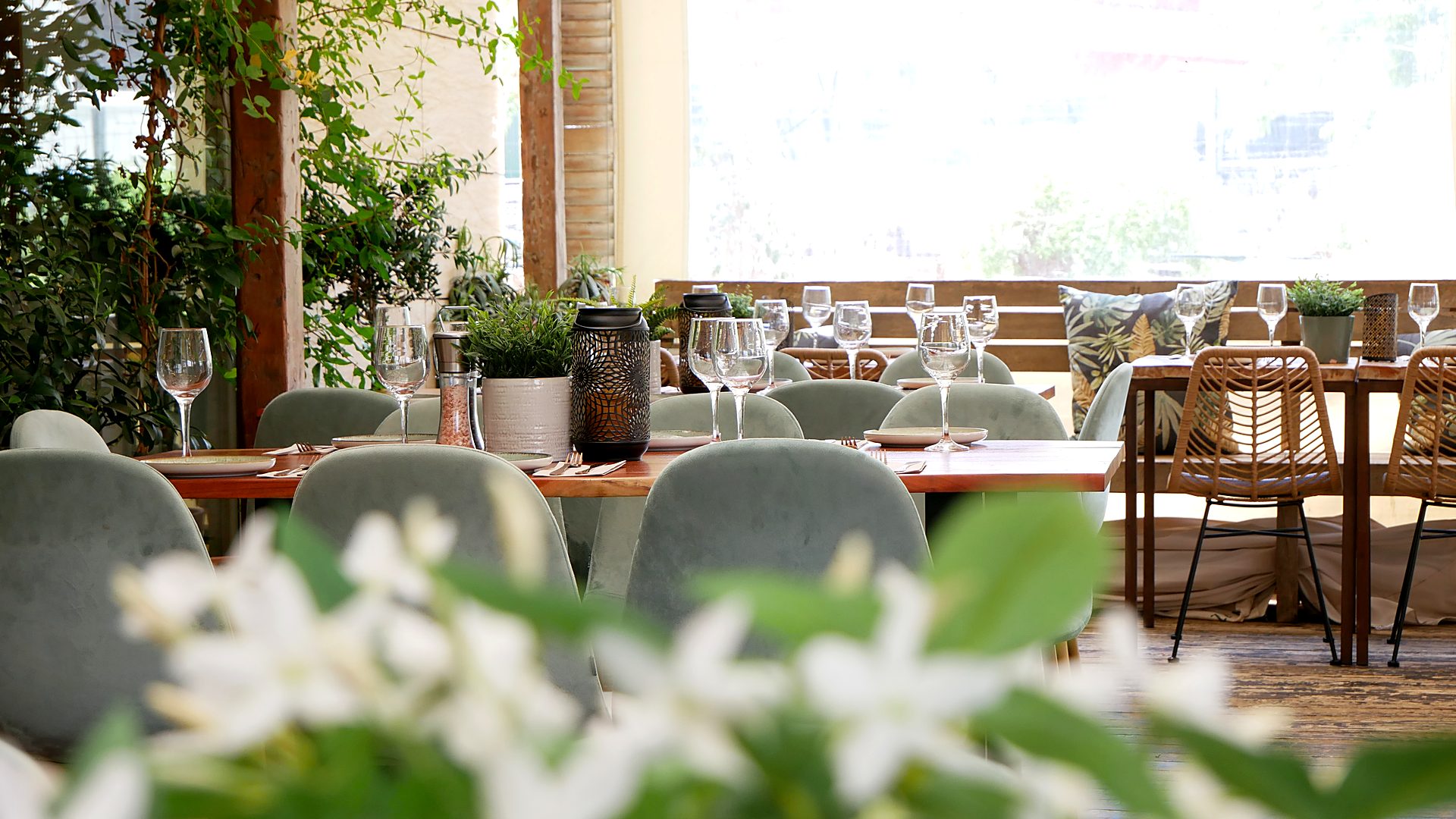Terraza del restaurante Selva Negra, actividad de citas rápidas La Selva en 5 Minutos